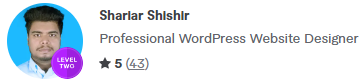 Professional WordPress Website Designer